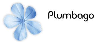 Plumbago à Lyon : Expertise en Nettoyage Écologique et Impeccable